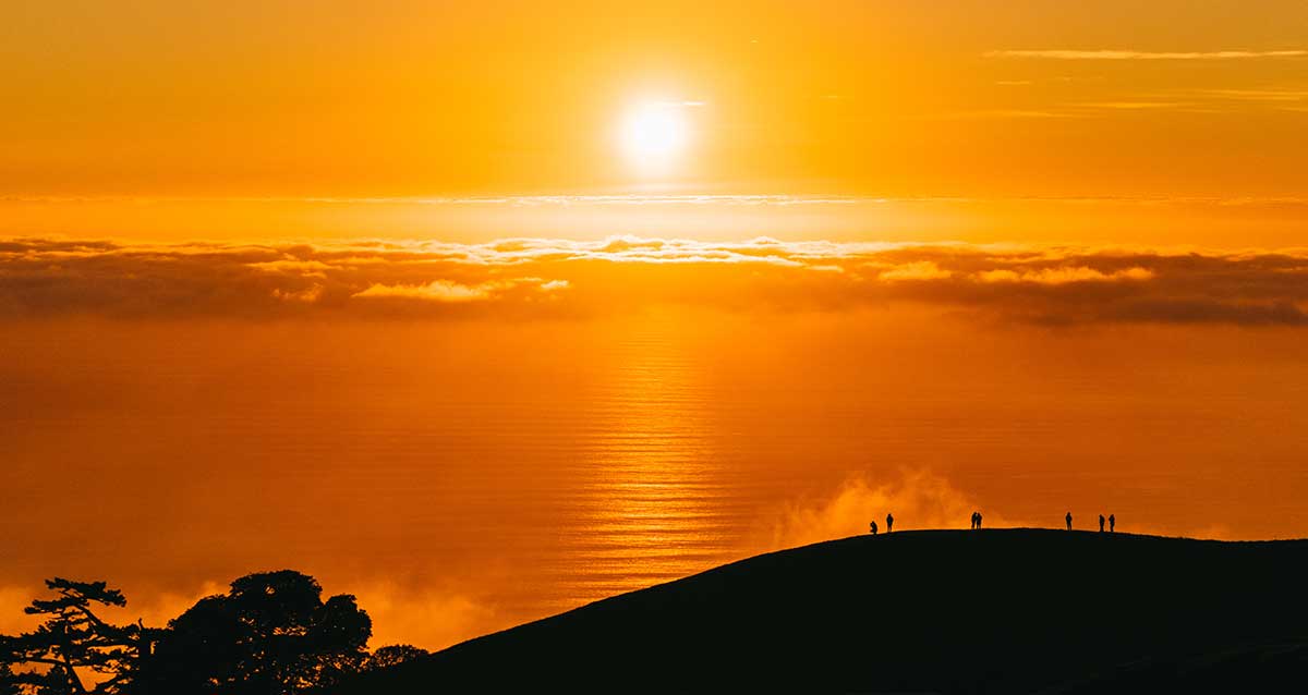 צילום אילוסטרציה: ג'ון טאונר, אנספלאש
